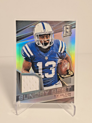 Hilton 2015 spectra patch - t.y.,